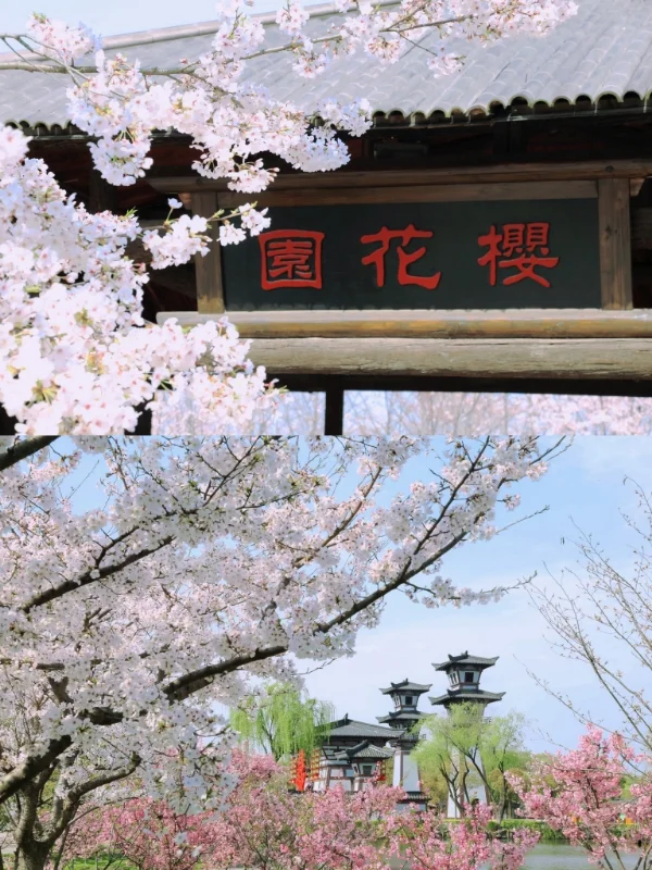 三国水浒城春日游🌸赏花+穿越🥳