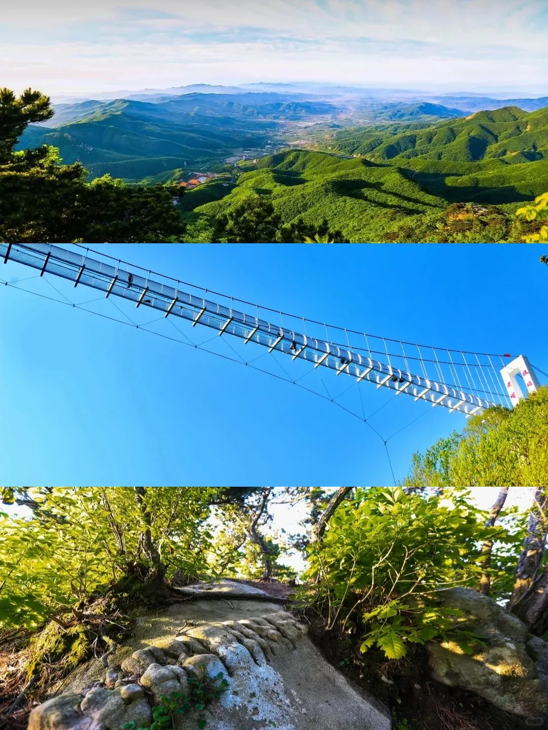 大连遛娃☞清明⛰️老帽山踏青一日游！