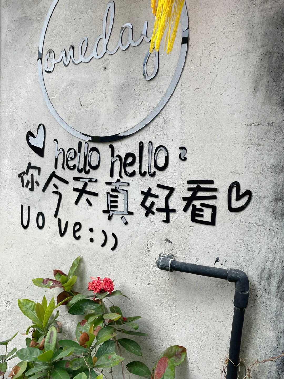 这里不是云南！是深圳！！这一次去有风的地方~
