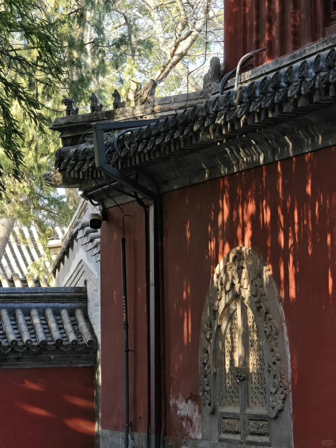大觉寺