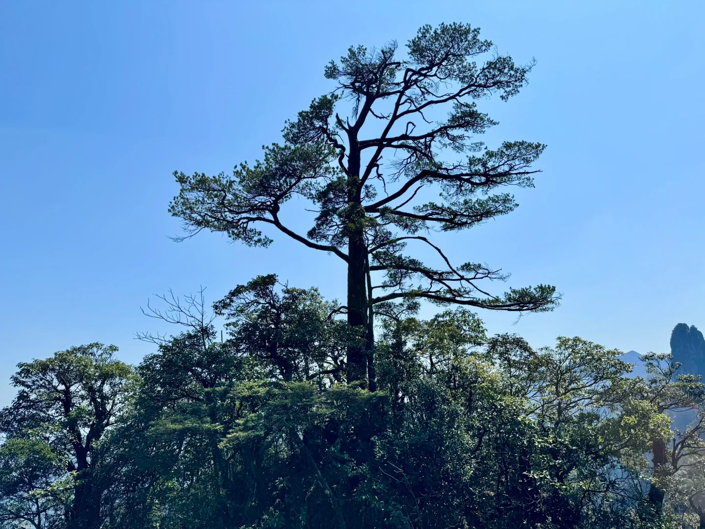 📍莽山五指峰