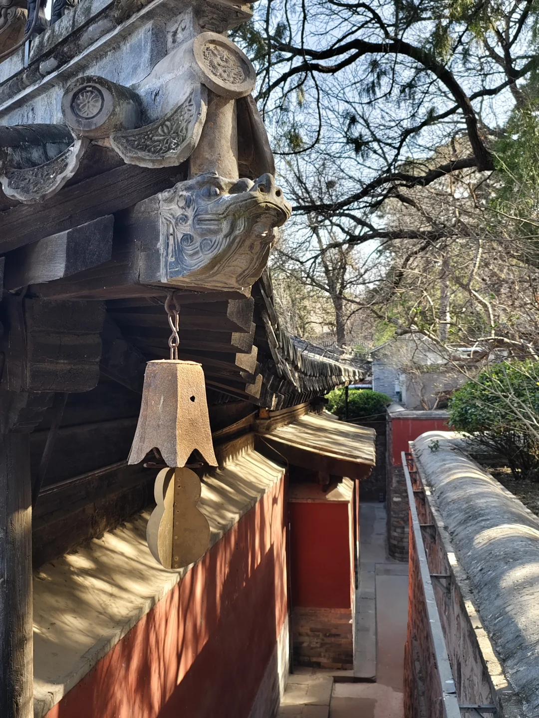 大觉寺