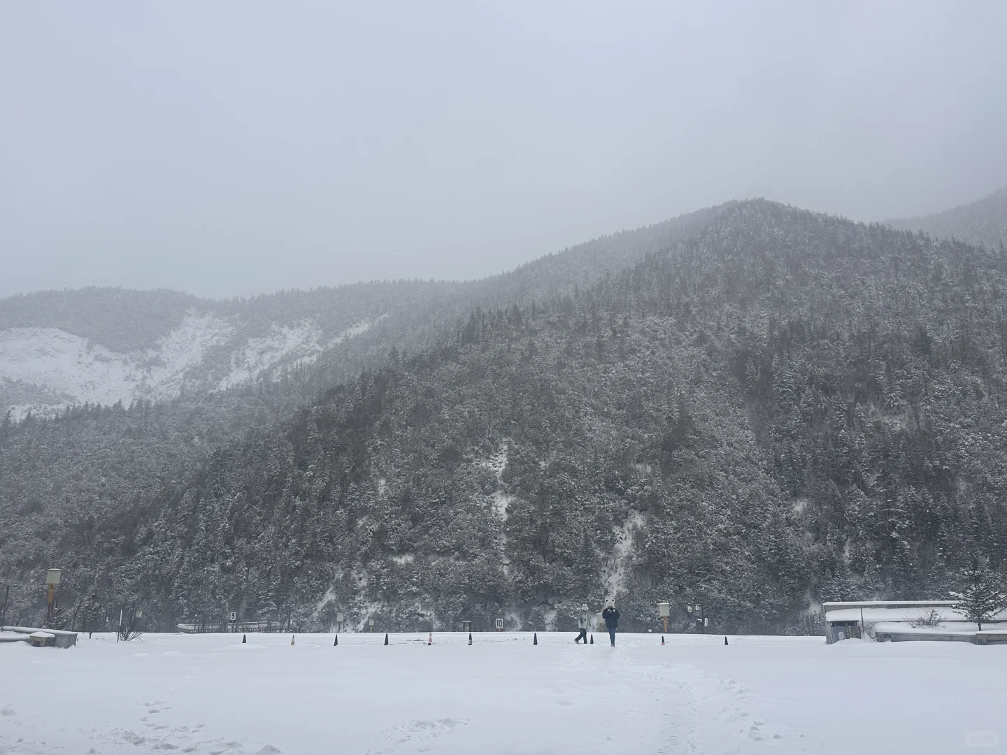 去川西，请谨慎选择旅行团 ！！！