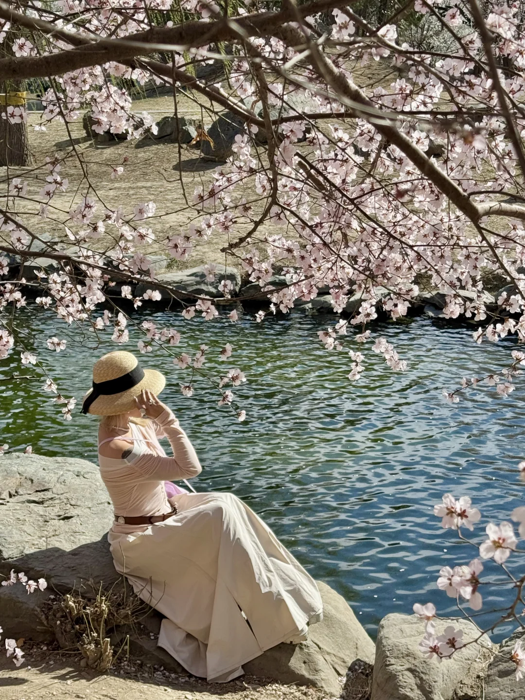 拒绝市区人挤人🌸圆明园的锦鲤桃花溪太香了