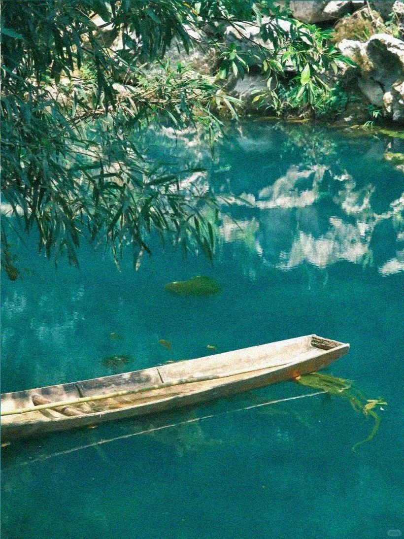 3.17📍小七孔已回，崩溃了😭说点大实话