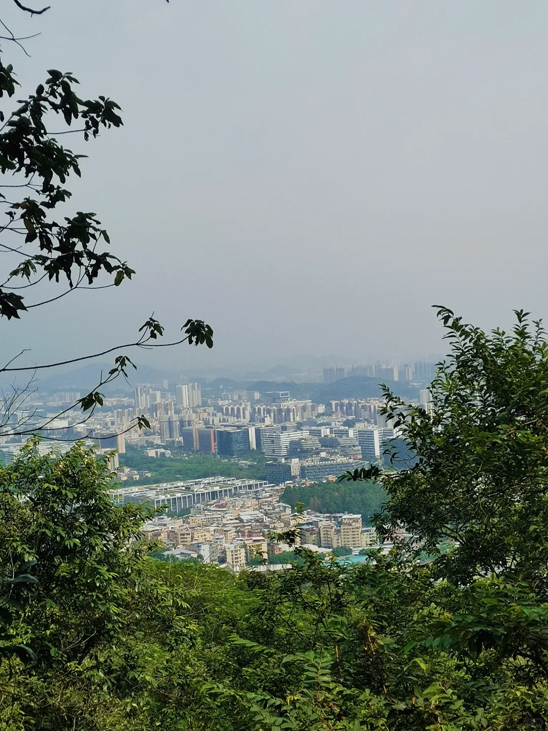爱上爬山😂——火炉山森林公园