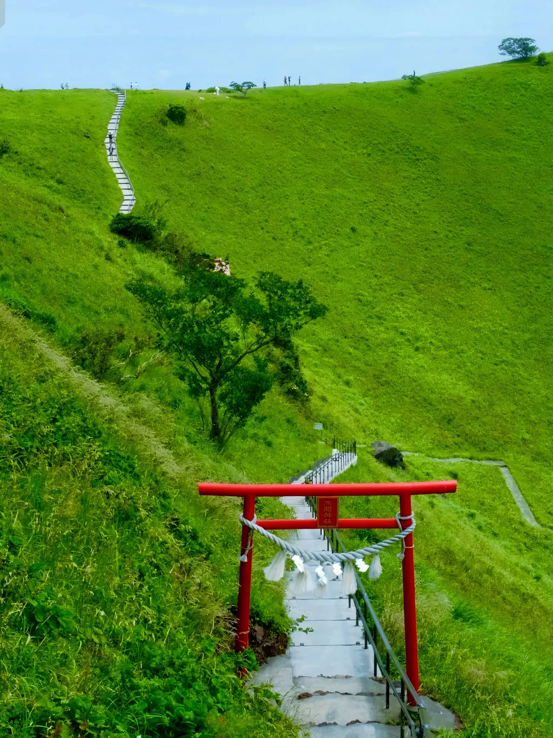 静冈旅游攻略 | 一场治愈心灵的海滨之旅