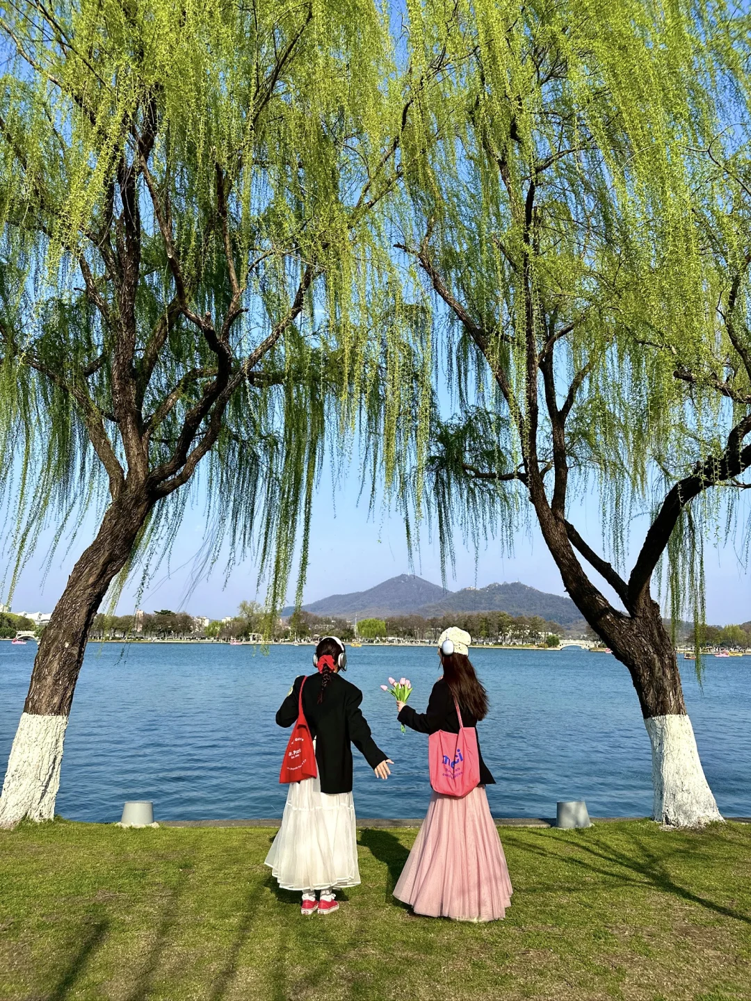 玄武湖的春天，直接封神了！！（附攻略📝
