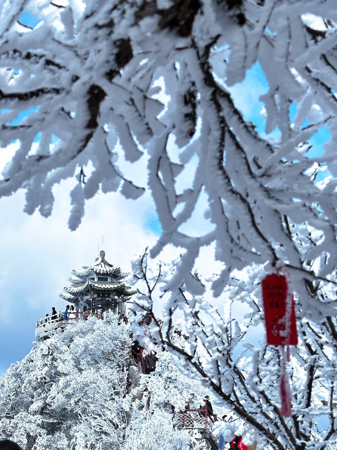 3.19号老君山景区，爬到山顶实在无语了😓