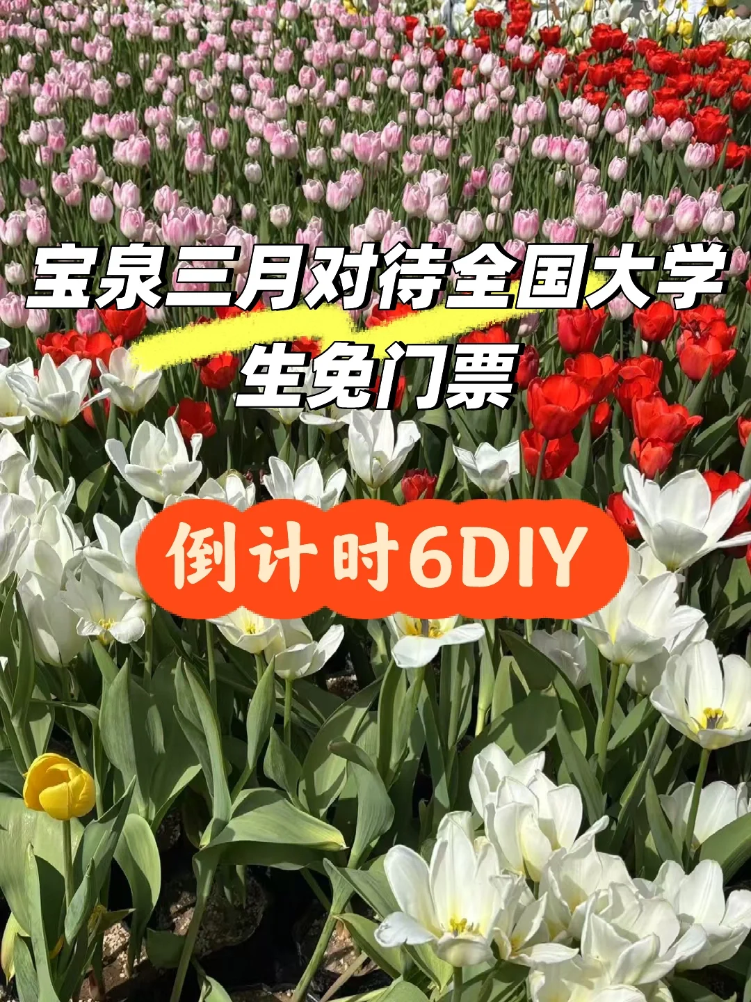 宝泉三月免门票 倒计时6天 郑州大学生攻略