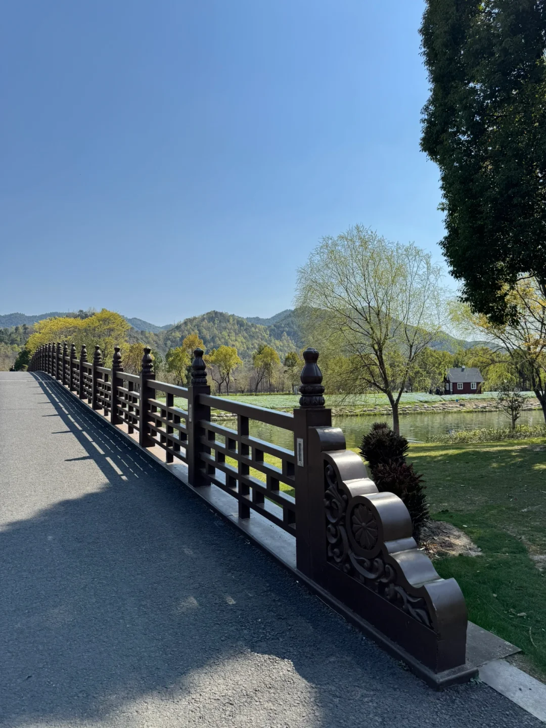 临海📍灵湖景区我要称她为“临海普罗旺斯”😛