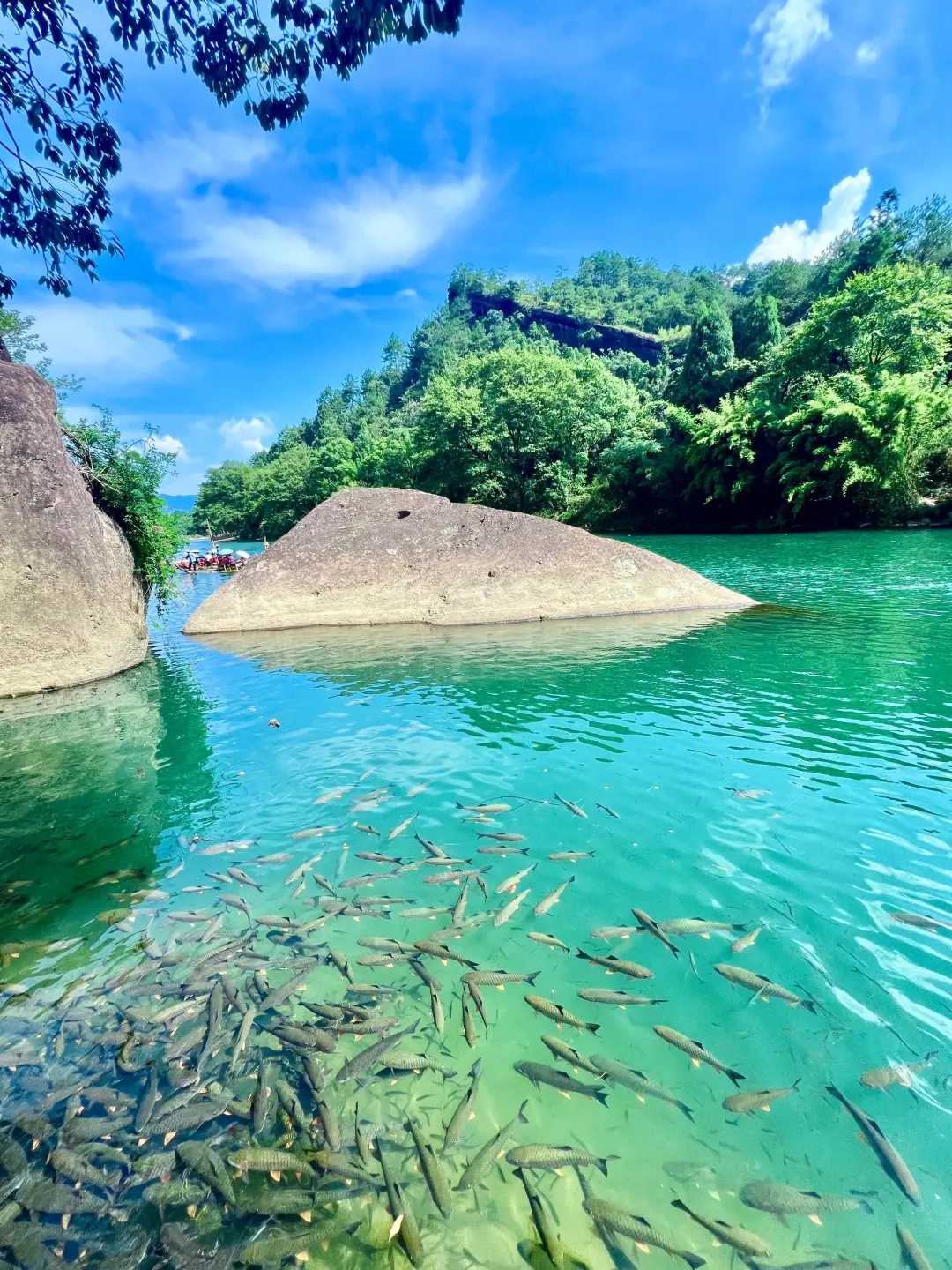 武夷山游玩攻略！！看这篇👆🏻