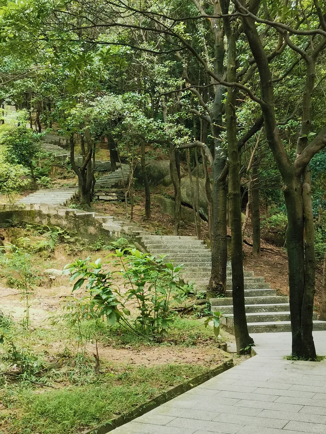 爱上爬山😂——火炉山森林公园