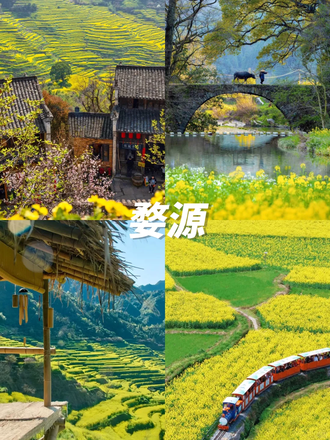 清明赏花游🌸3-4月绝美不踩雷九个城市‼️