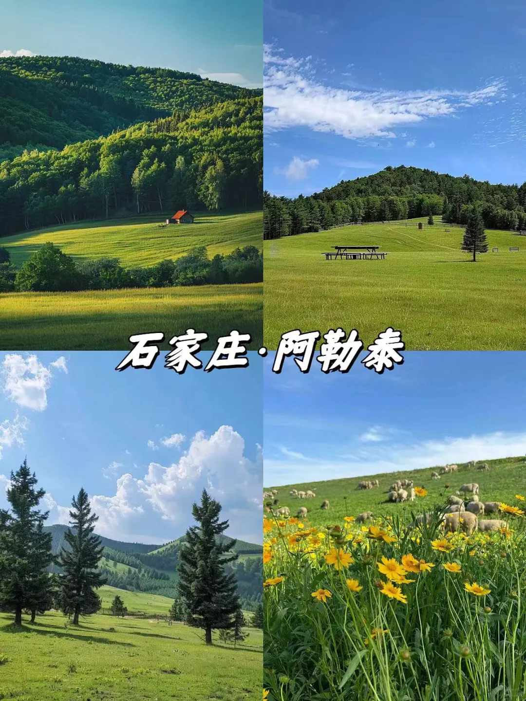 都是美到词穷的存在✔（附地址）