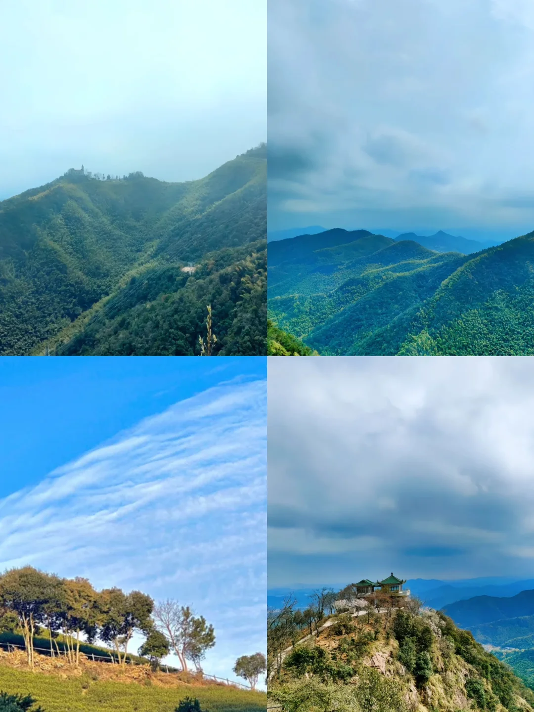 清明旅游前必看｜莫干山旅游攻略（超详细‼️