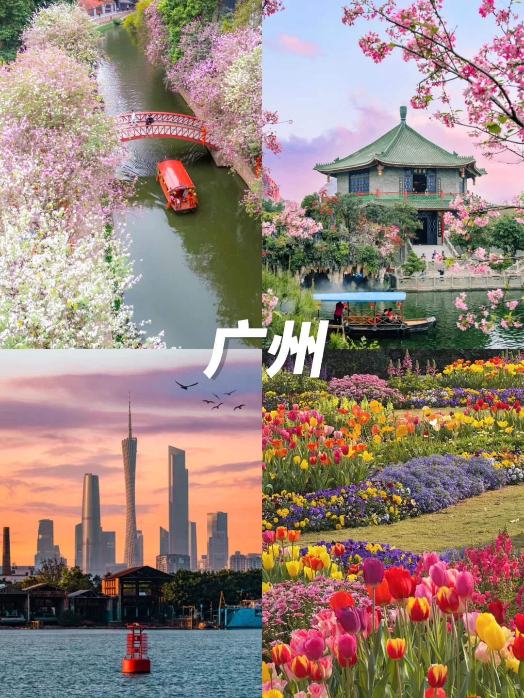 清明赏花游🌸3-4月绝美不踩雷九个城市‼️