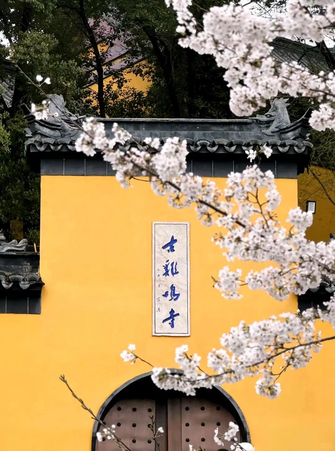 总要去趟南京吧！赴一场金陵之约🏮