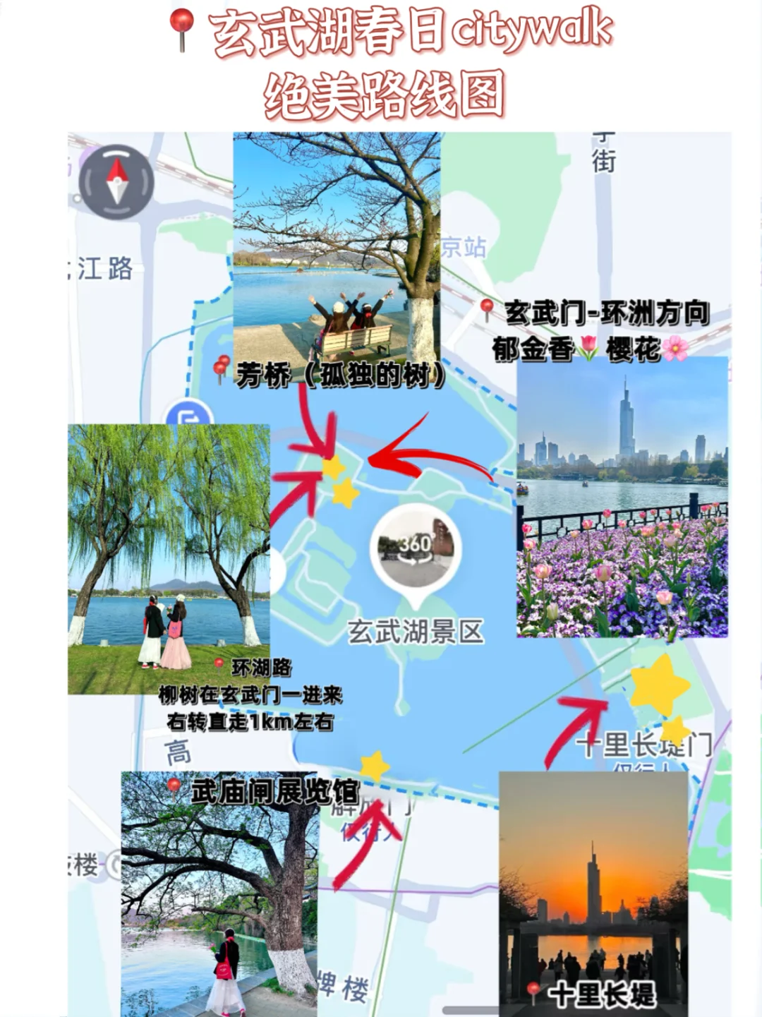 玄武湖的春天，直接封神了！！（附攻略📝