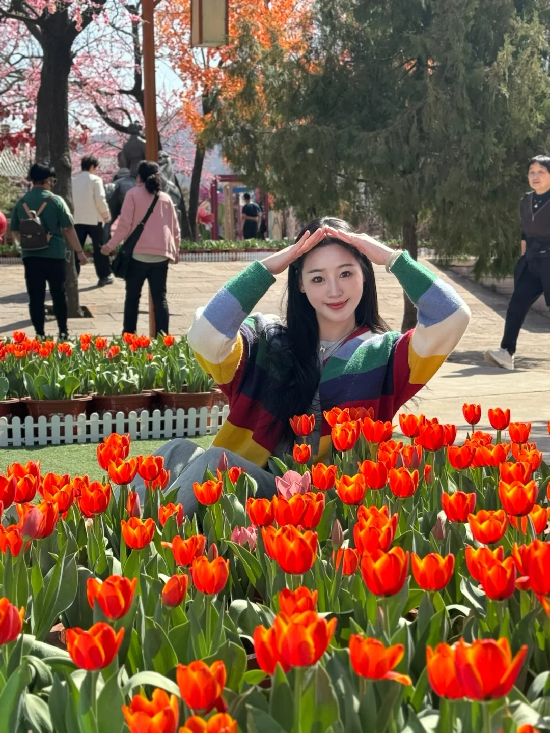 在邯郸！没想到能看见这么美的郁金香花海🌷
