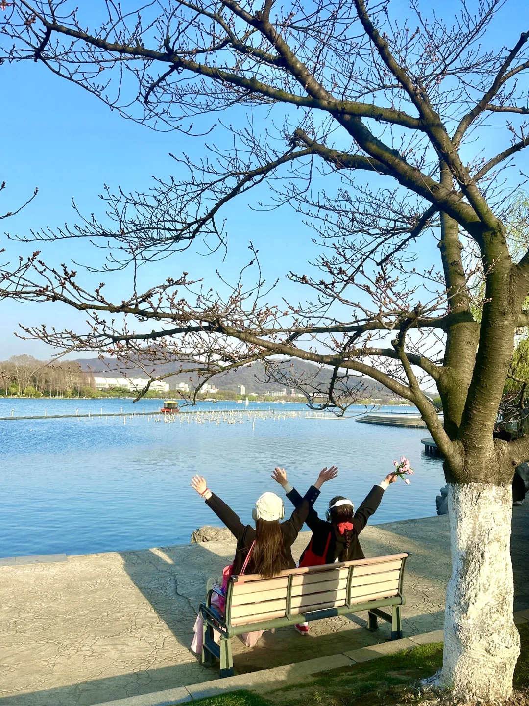 玄武湖的春天，直接封神了！！（附攻略📝