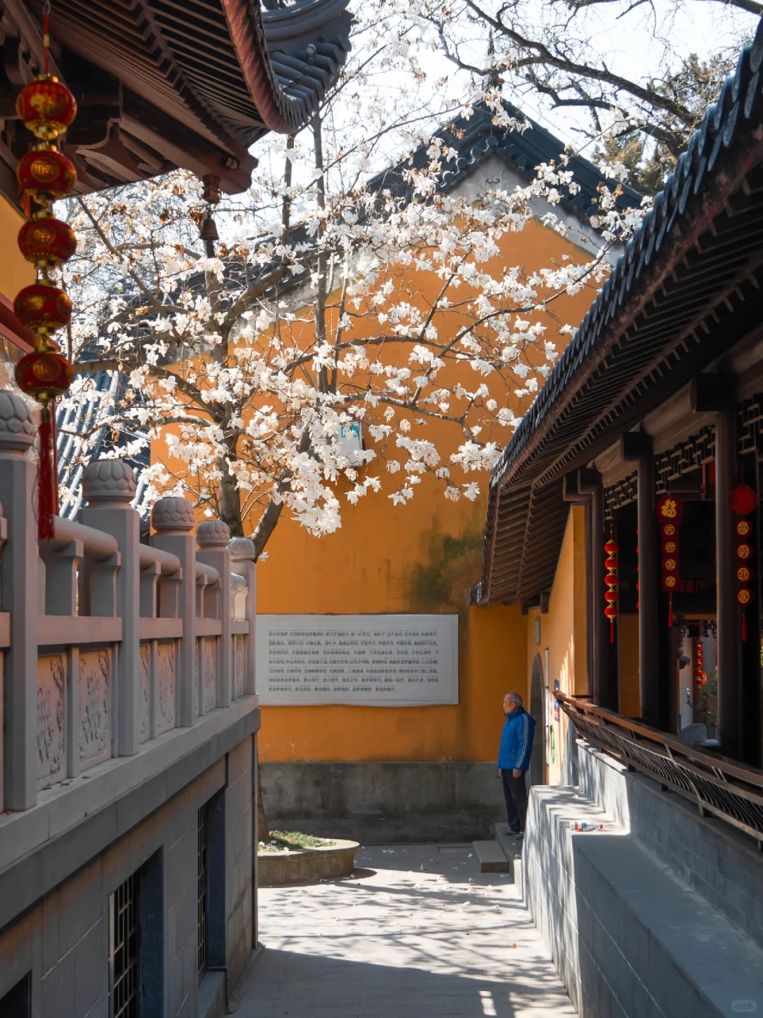 为了这扇窗景，我特地飞了一趟南京来值得吗？