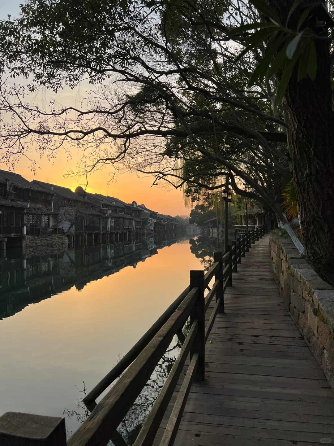 3.20📍乌镇已回！住景区里太爽啦，live直出