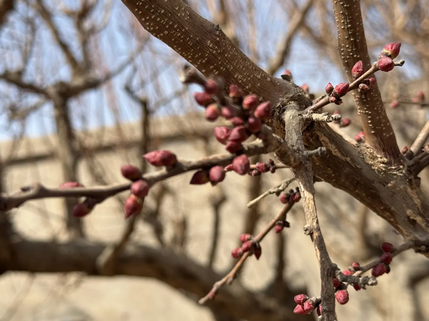 肉孜节|2️⃣个短途亲子出游小众地➡️线路