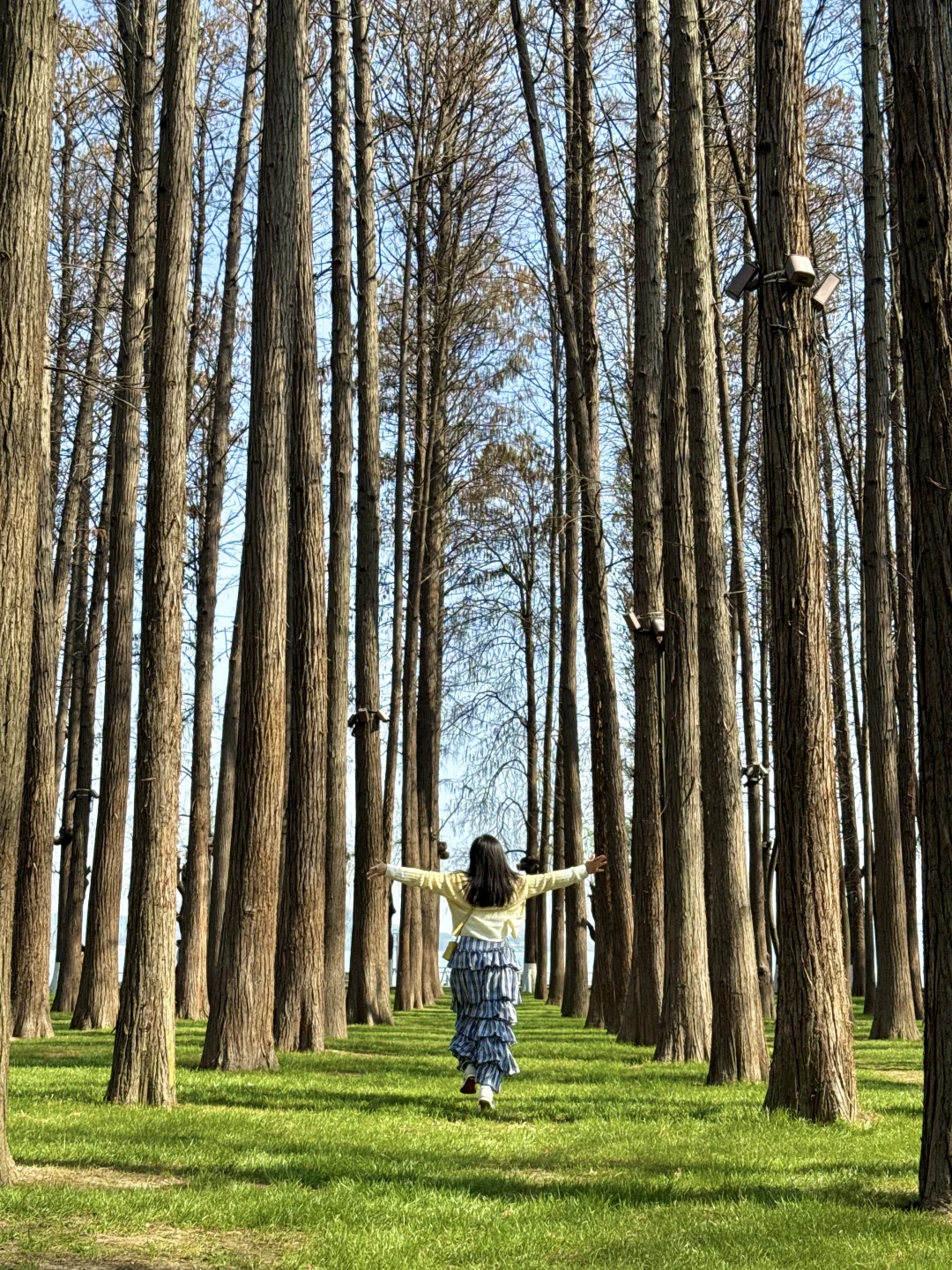 以为东湖磨山已经很美了，直到我去到这里…