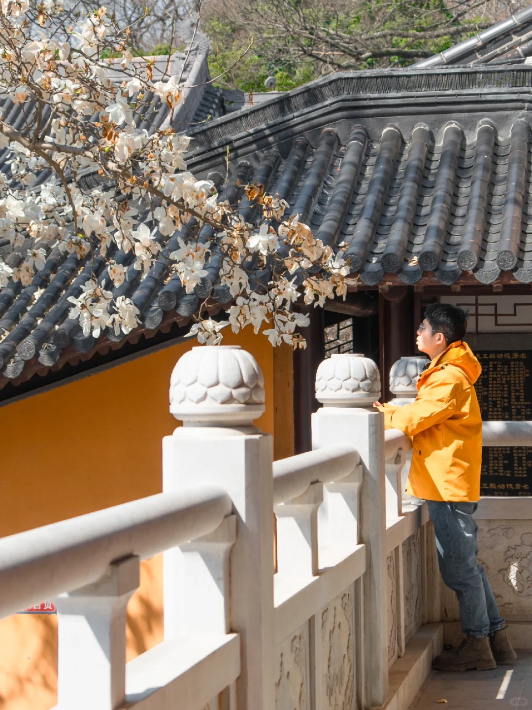为了这扇窗景，我特地飞了一趟南京来值得吗？
