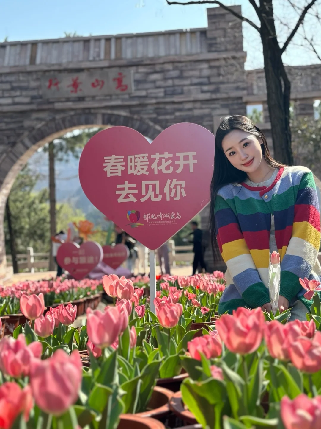 在邯郸！没想到能看见这么美的郁金香花海🌷