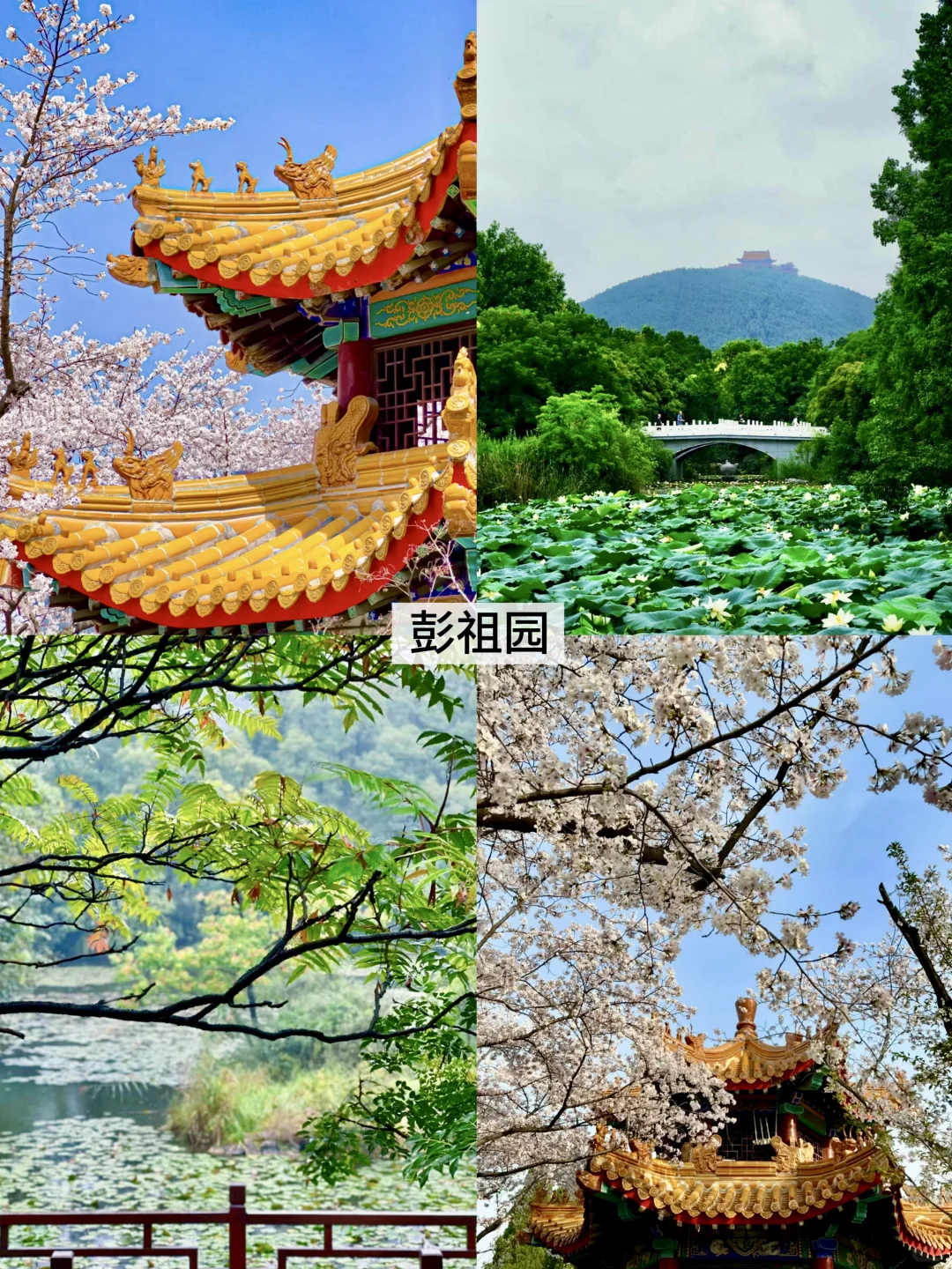 徐州春日好去处|💐9个景点-内附详细攻略💐