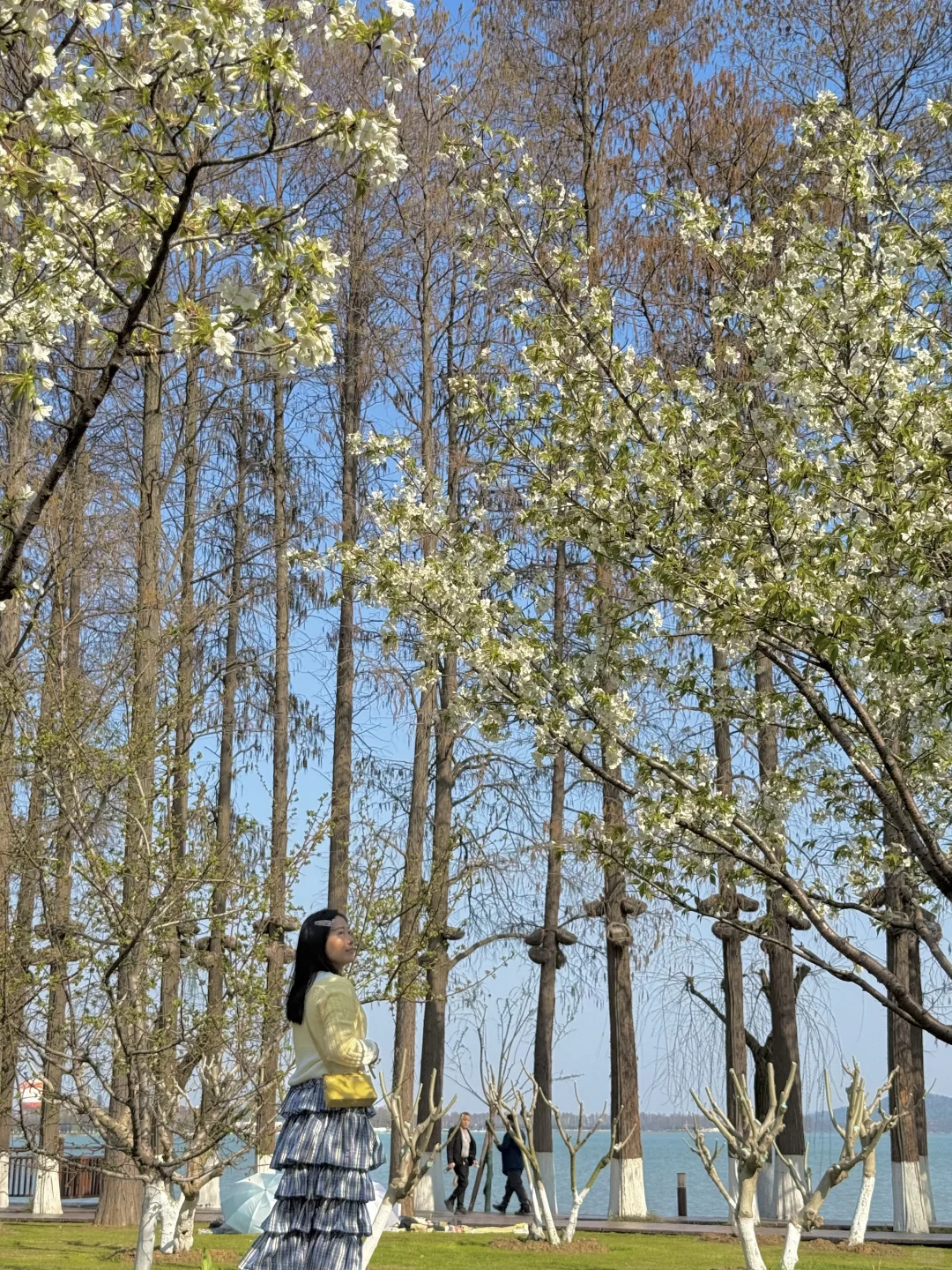 以为东湖磨山已经很美了，直到我去到这里…