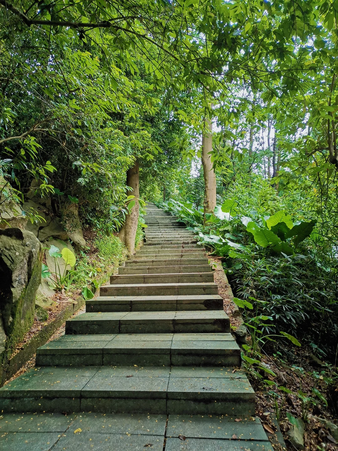 爱上爬山😂——火炉山森林公园