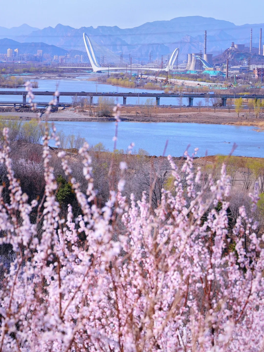 3.20北京上春山🌸桃花谷简直美到nextlevel！