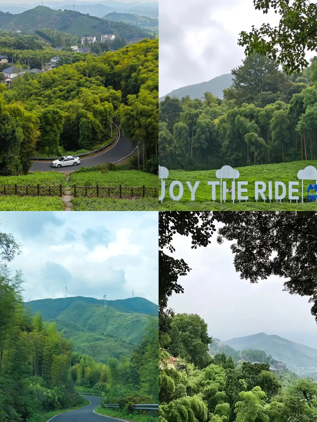 清明旅游前必看｜莫干山旅游攻略（超详细‼️