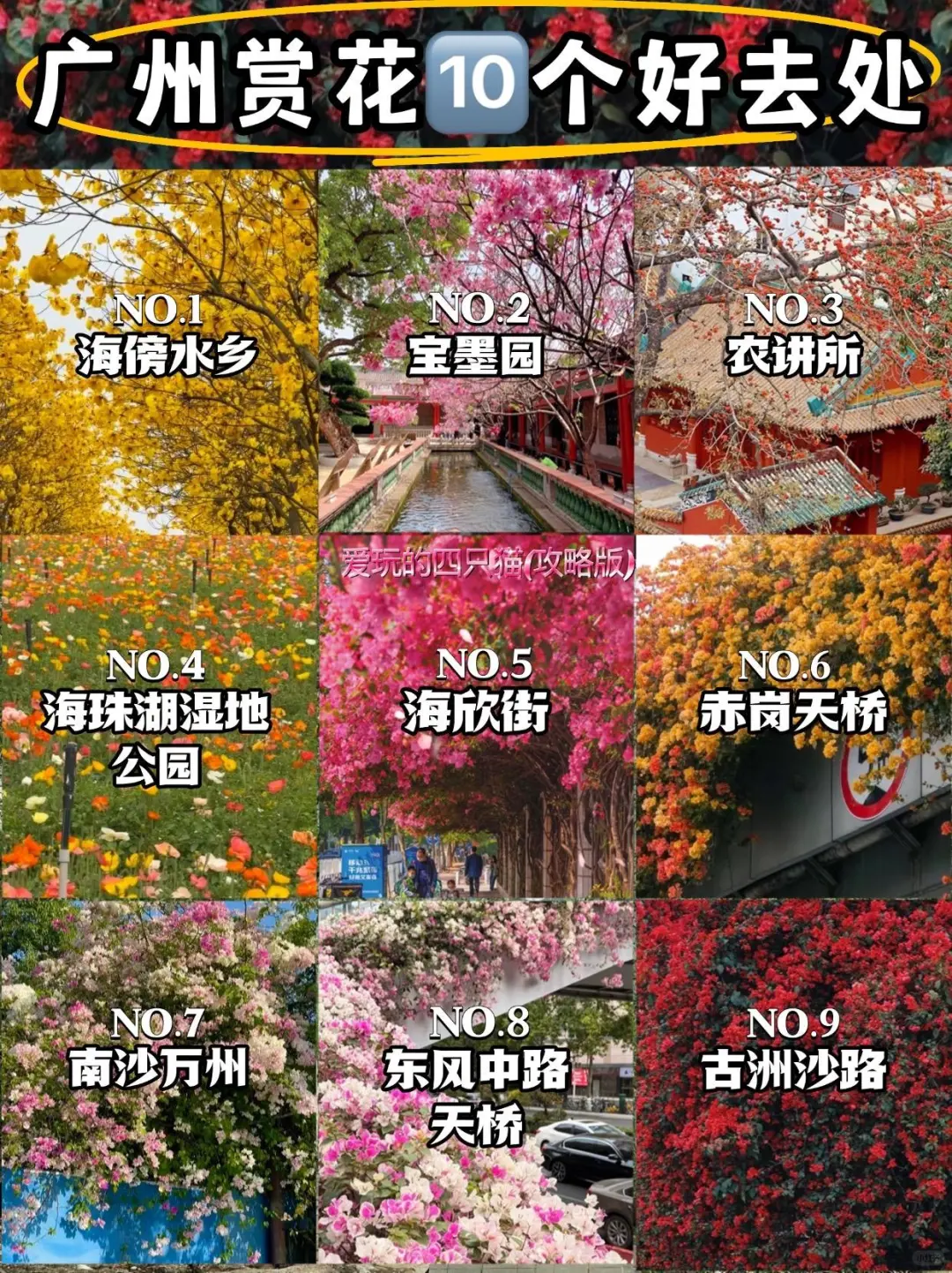 广州3-4月的赏花攻略🌺现代版莫奈花园