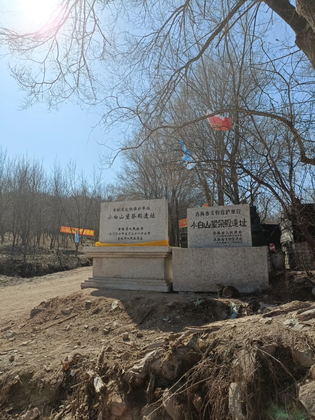 吉林市小白山公园新增一处打卡点鹿园