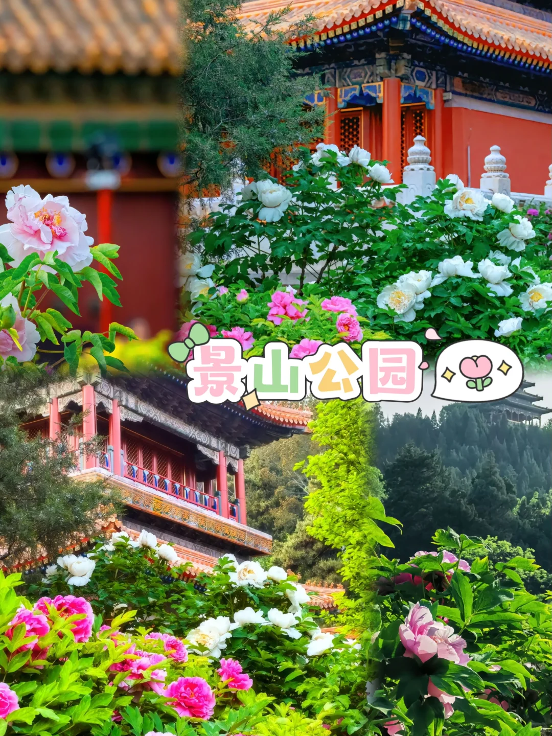 来北京旅游五天四晚，🈶不费腿不费脑攻略