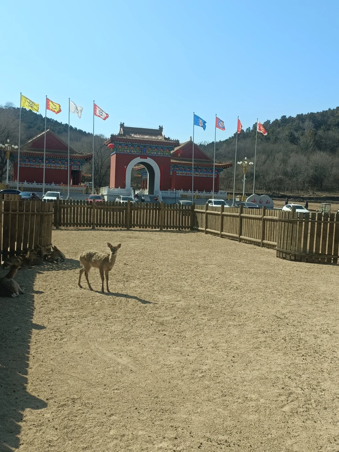 吉林市小白山公园新增一处打卡点鹿园