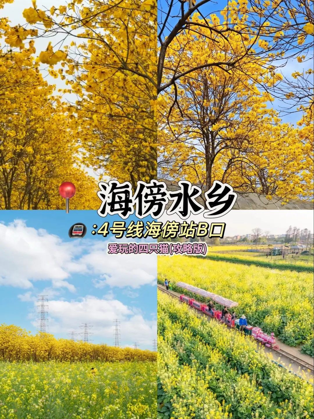 广州3-4月的赏花攻略🌺现代版莫奈花园
