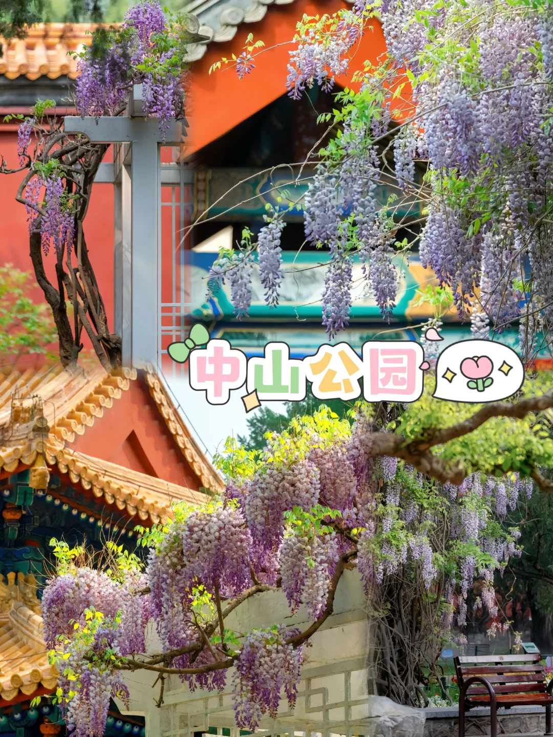 来北京旅游五天四晚，🈶不费腿不费脑攻略