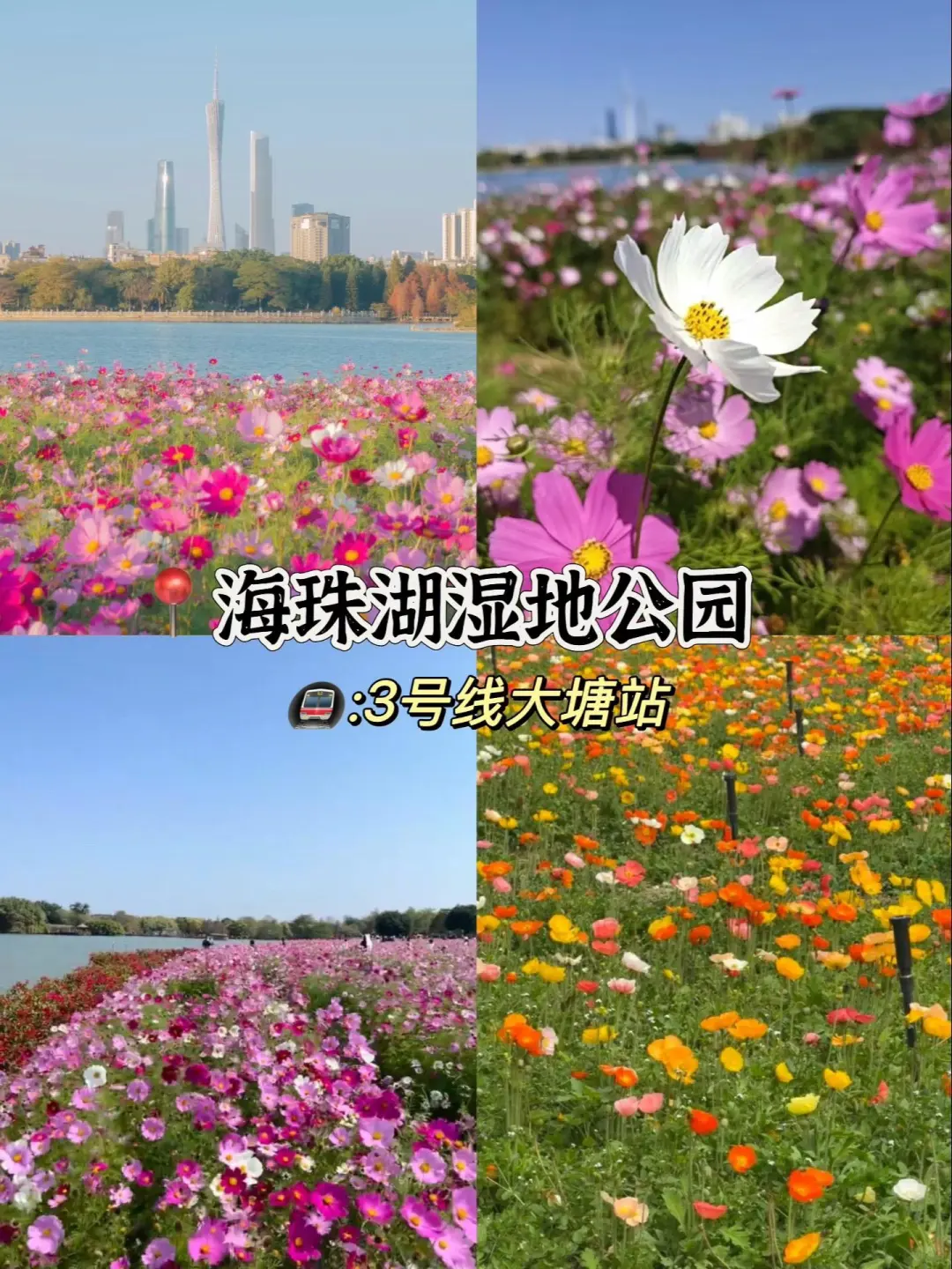 广州3-4月的赏花攻略🌺现代版莫奈花园