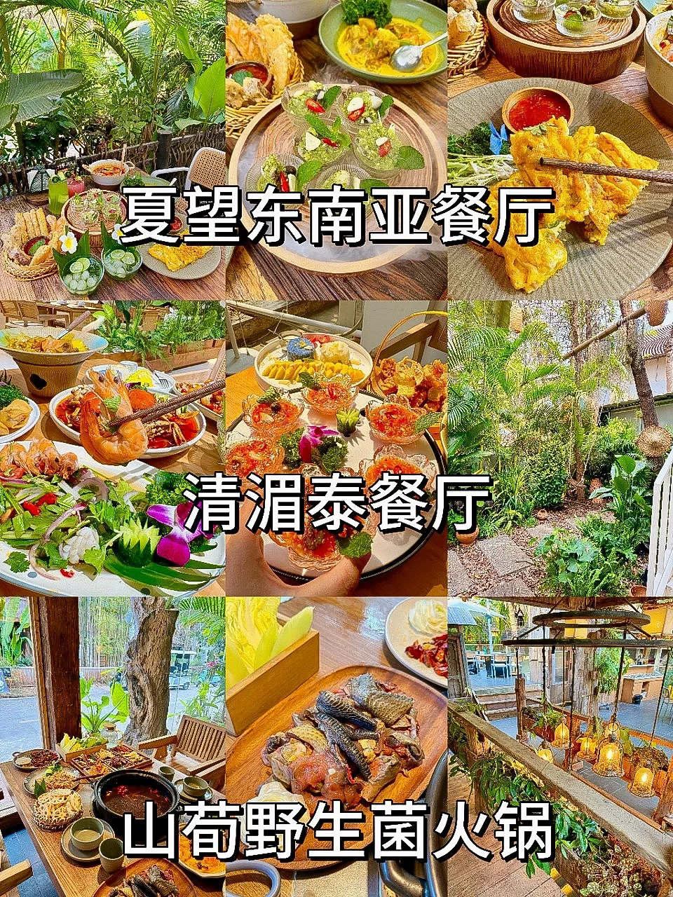 4月西双版纳游✈️版纳景点分布情况！！！