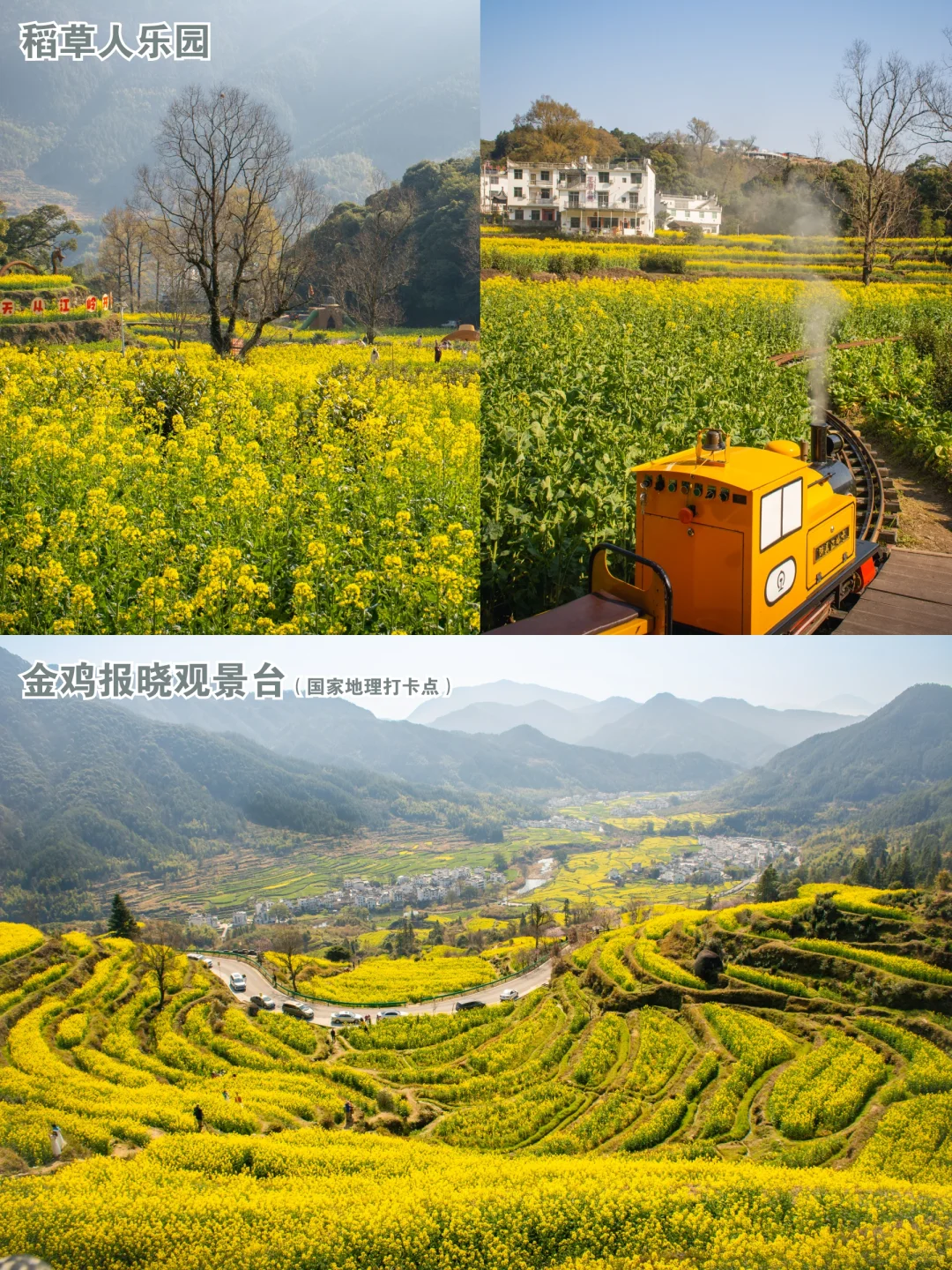 堵车上不去？婺源江岭的打开方式应该是这样！