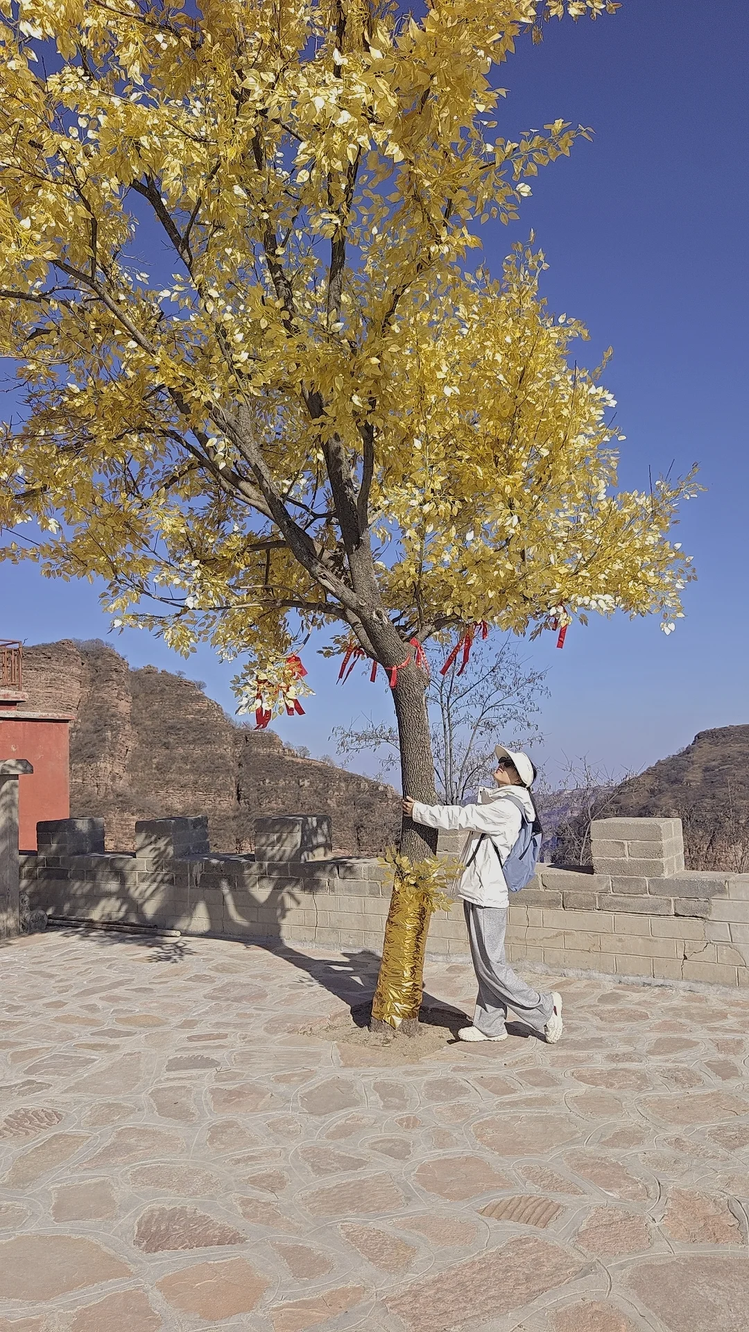 开始不务正业了