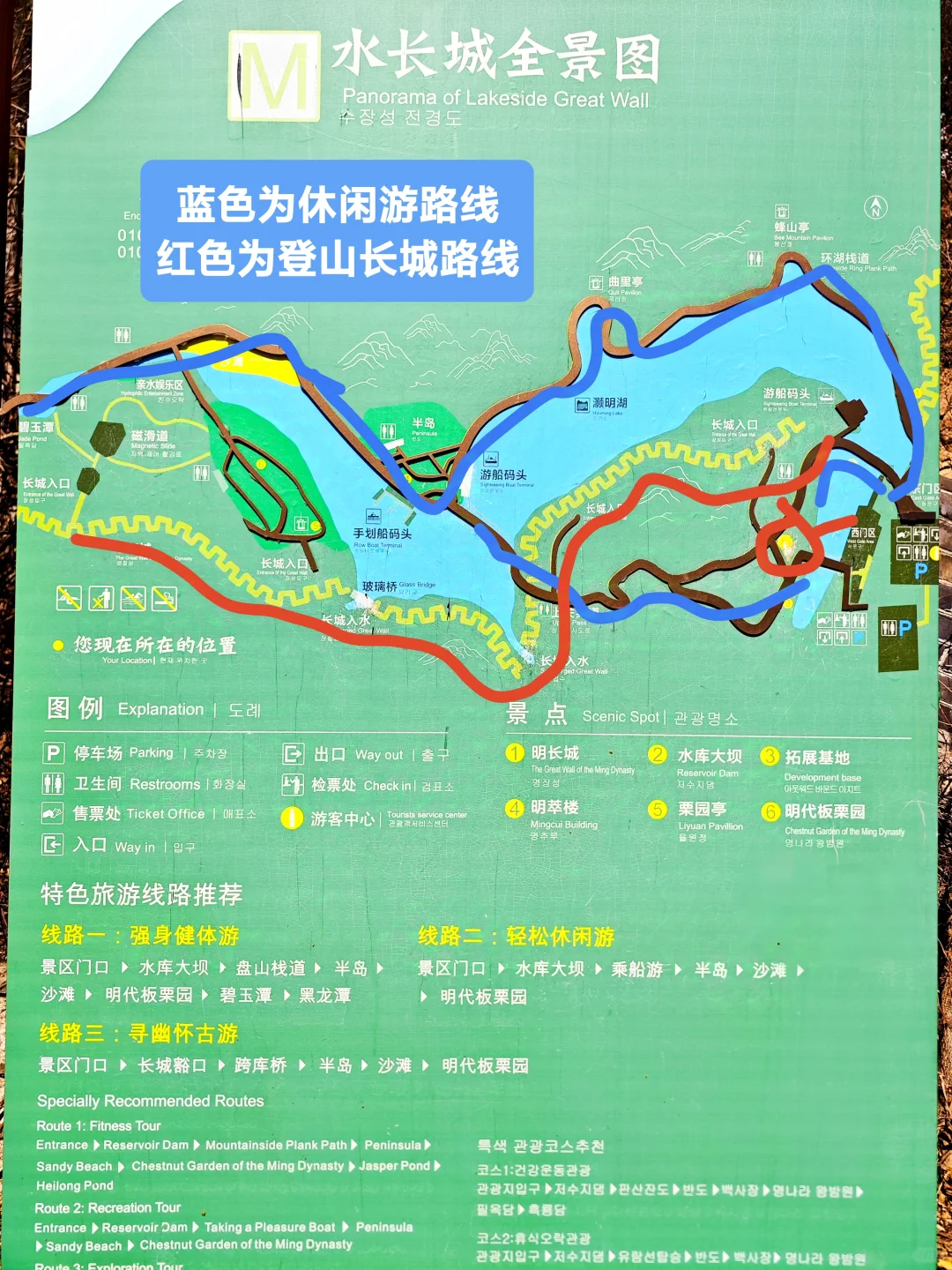 3.24实拍丨在北京我找到了林芝的平替