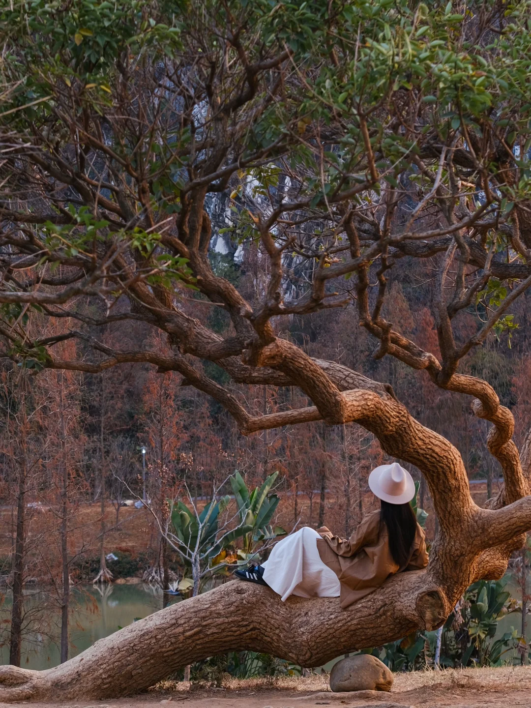 广州出发1h | 直达广东“小九寨”🍃