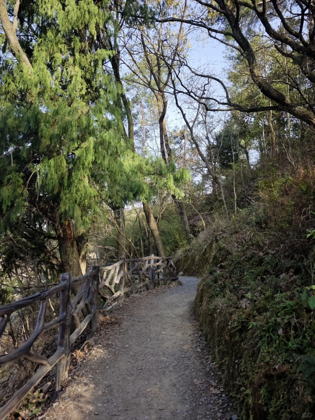 千岛湖一日游