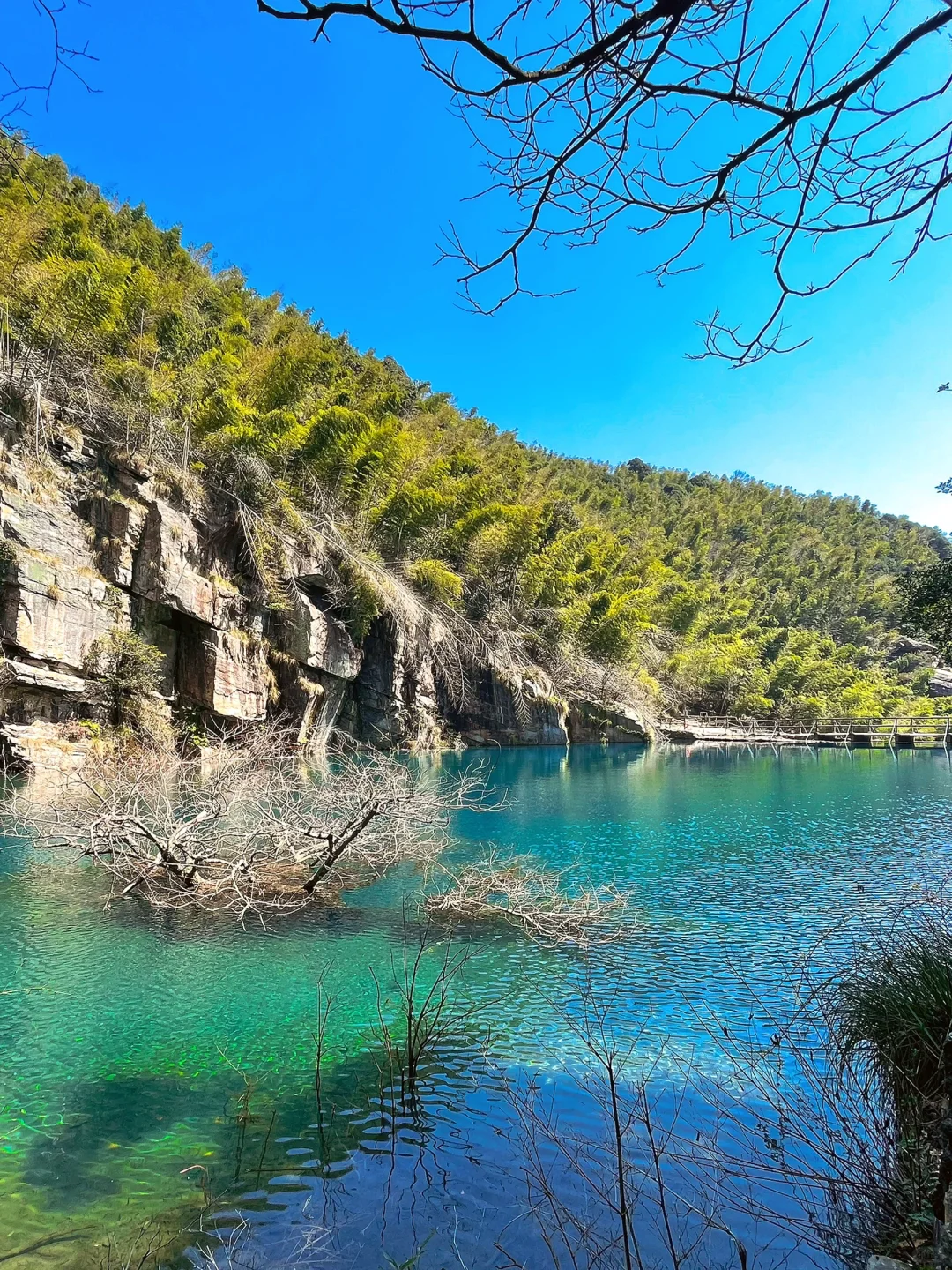 三刷庐山，这次我以为我到了九寨沟……